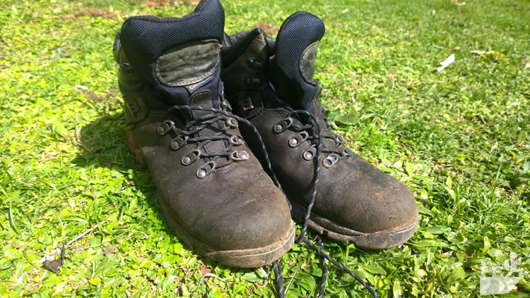 bota gs 3000