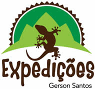 gersonSantos