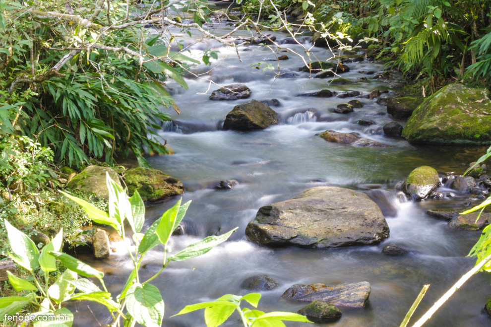 Nova Gokula - Pindamonhangaba: Uma Experiência Espiritual em Meio à  Natureza - Fé no Pé