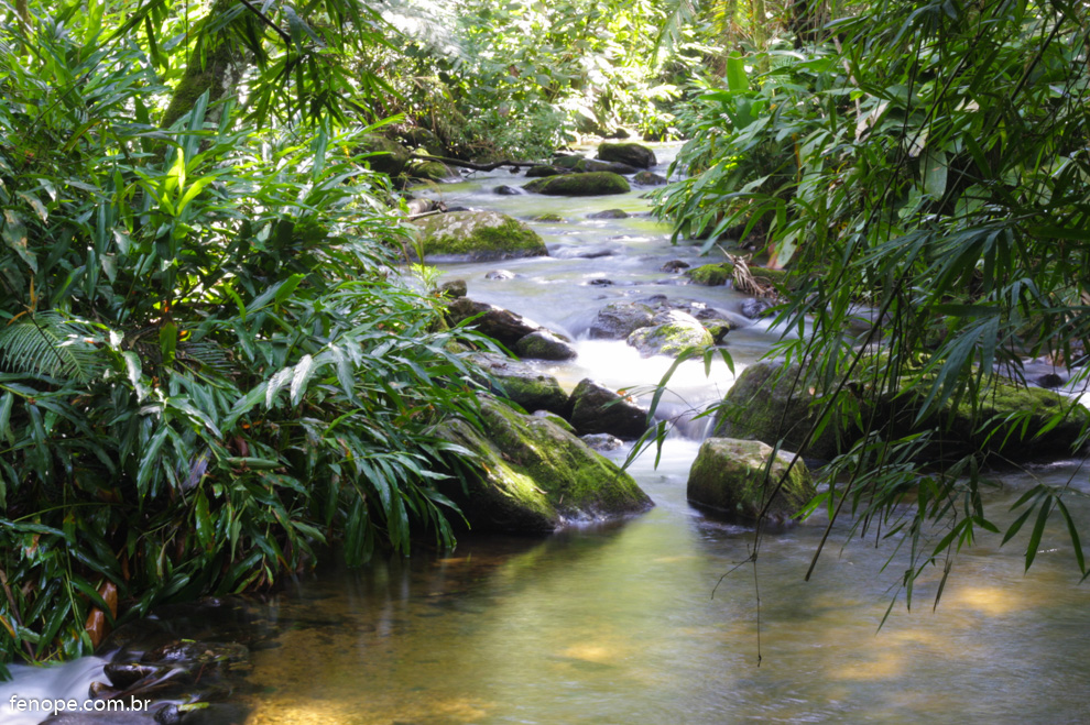 Fazenda Nova Gokula em Pindamonhangaba: comunidade Hare Krishna