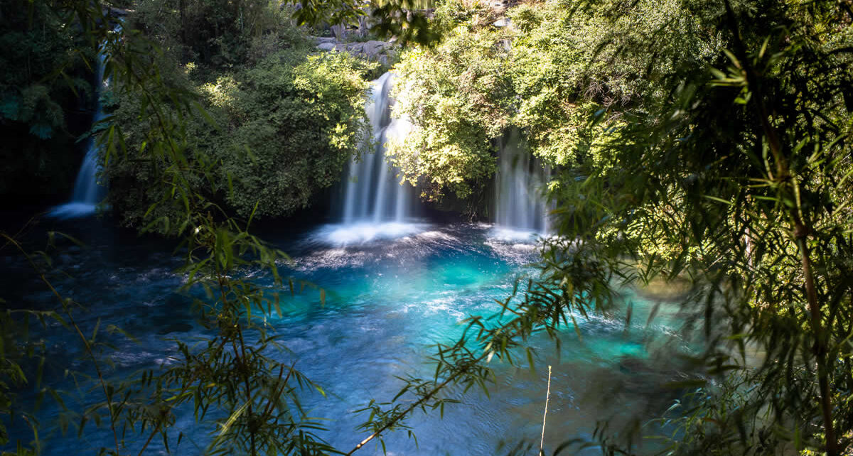 Nova Gokula - Pindamonhangaba: Uma Experiência Espiritual em Meio à  Natureza - Fé no Pé